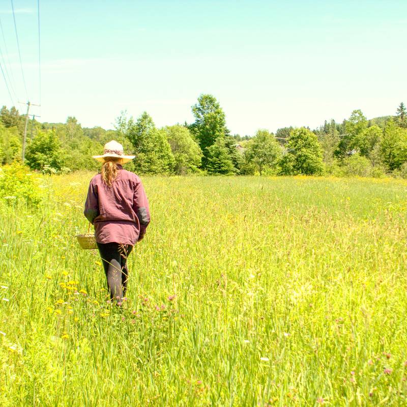 Une femme dans un champ à la Maison des Forestibles de L'Abbaye